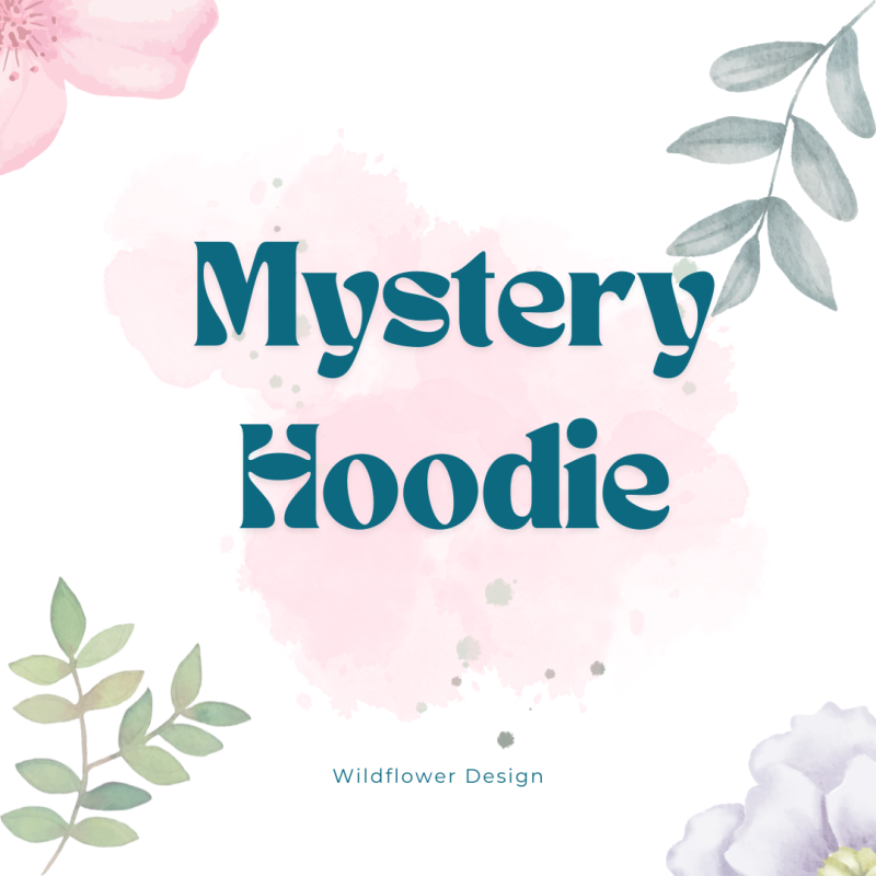 Adult Mystery Hoodie